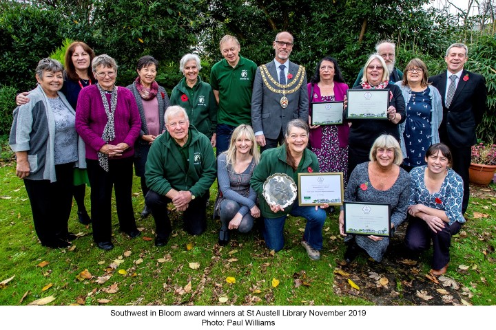 southwest in bloom winners