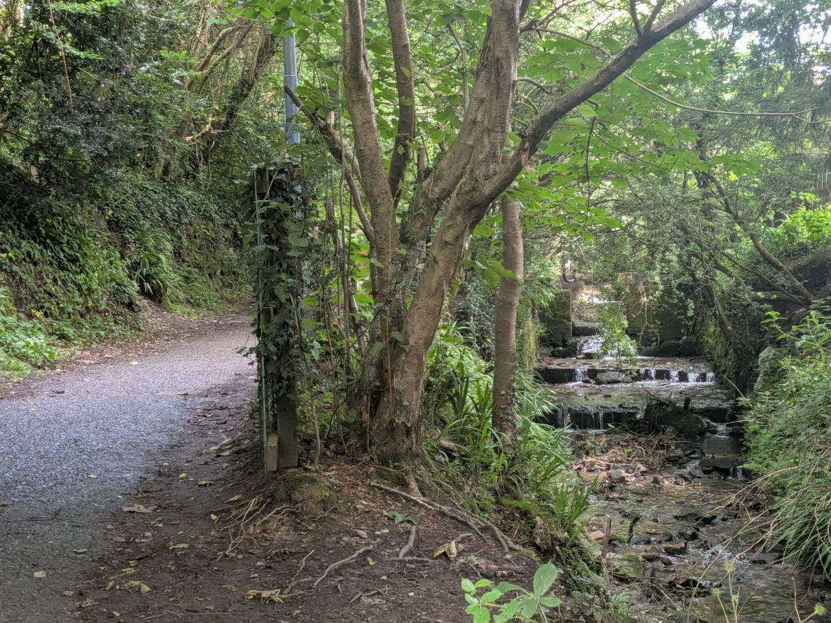 A river running next to a path in Linear Park, 2026