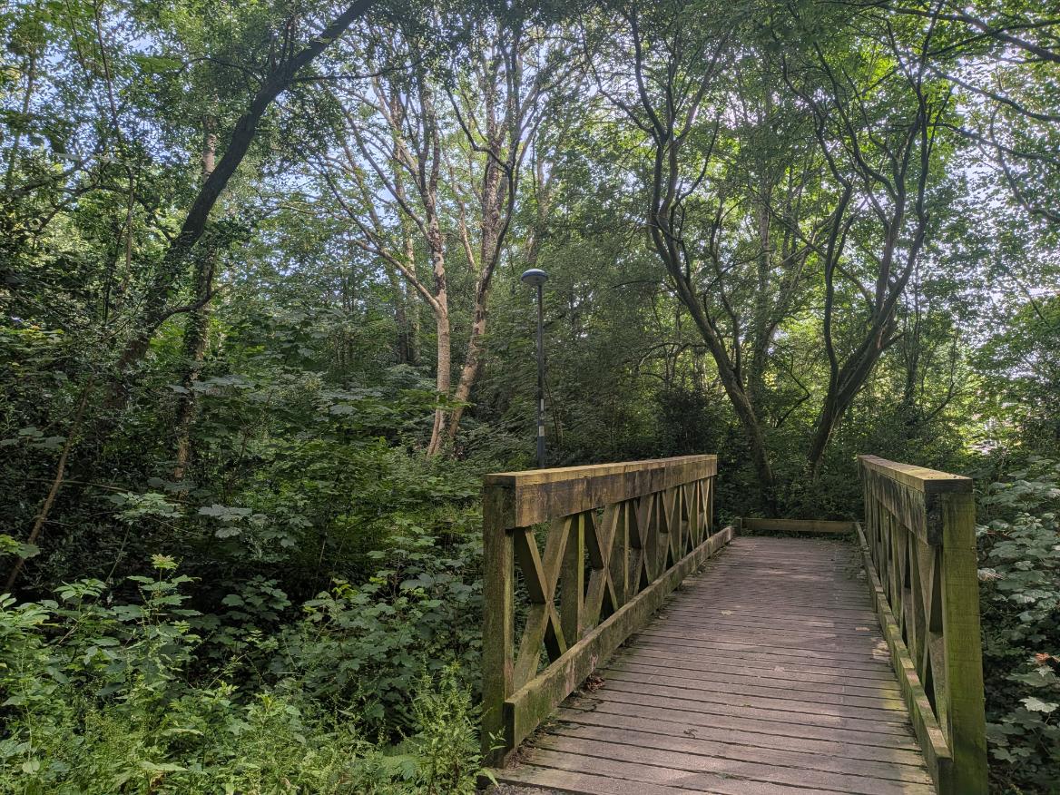 A wooden bridge going over the river that runs through Linear Park, 2026