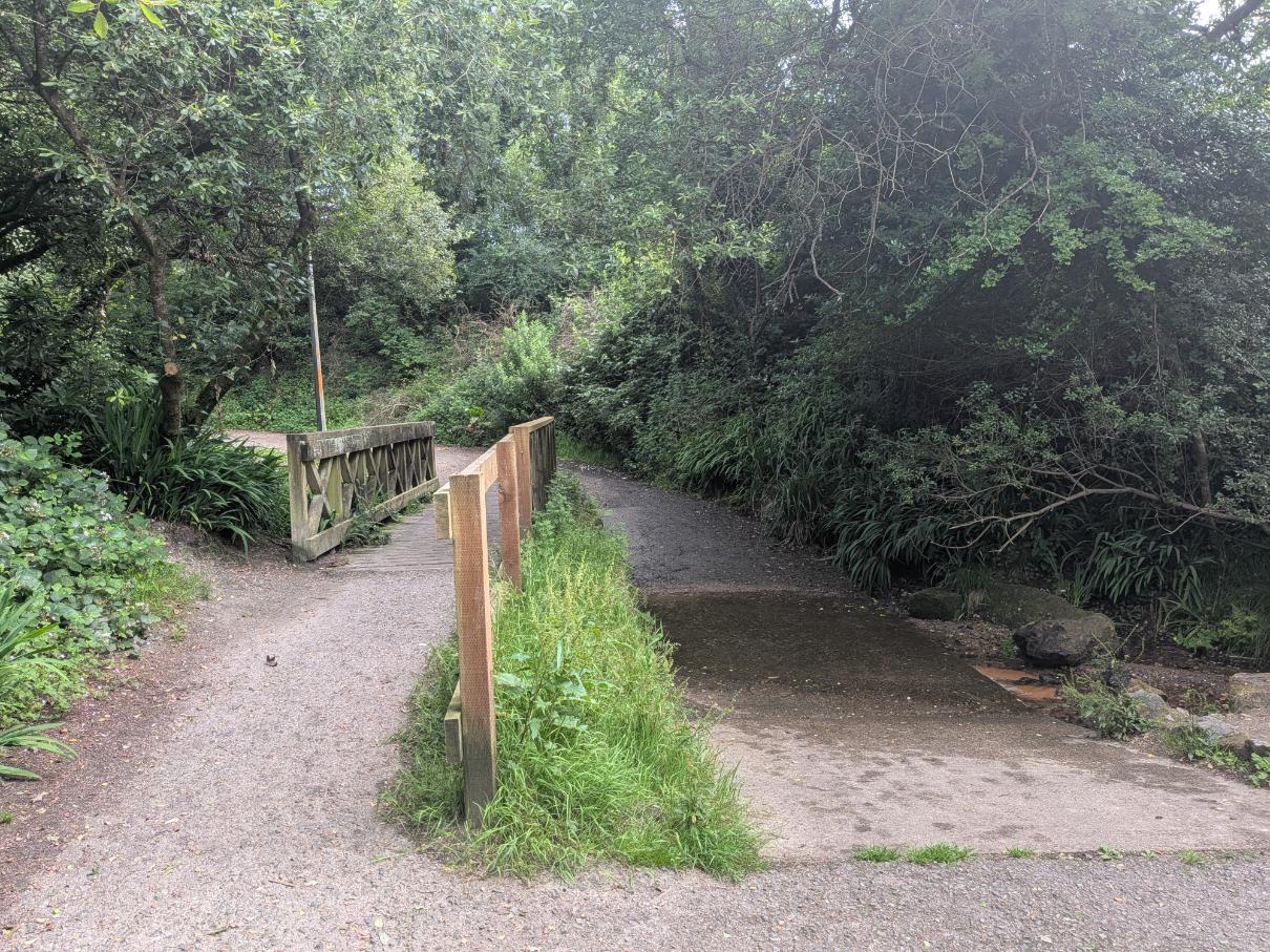 A footpath runs next to a river in Linear Park, 2026