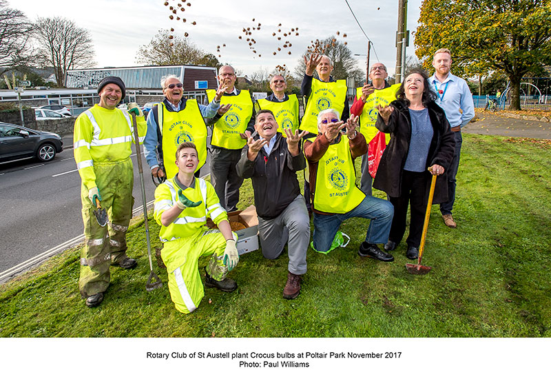 rotary club plant bulbs at Poltair Park November 2017