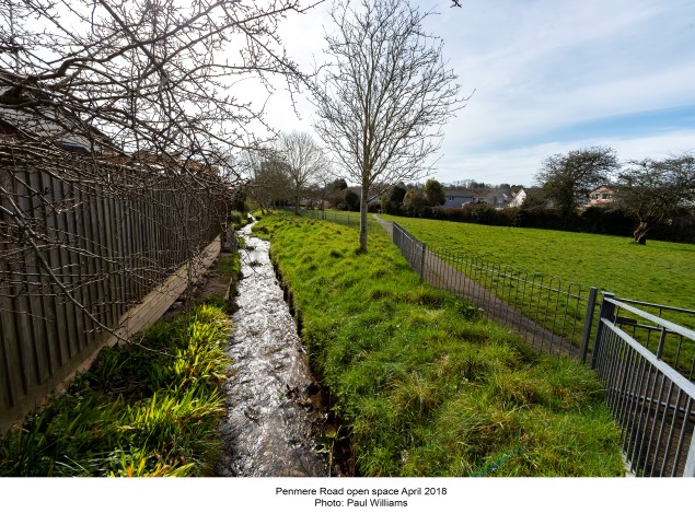 Penmere Road Open Space 2018