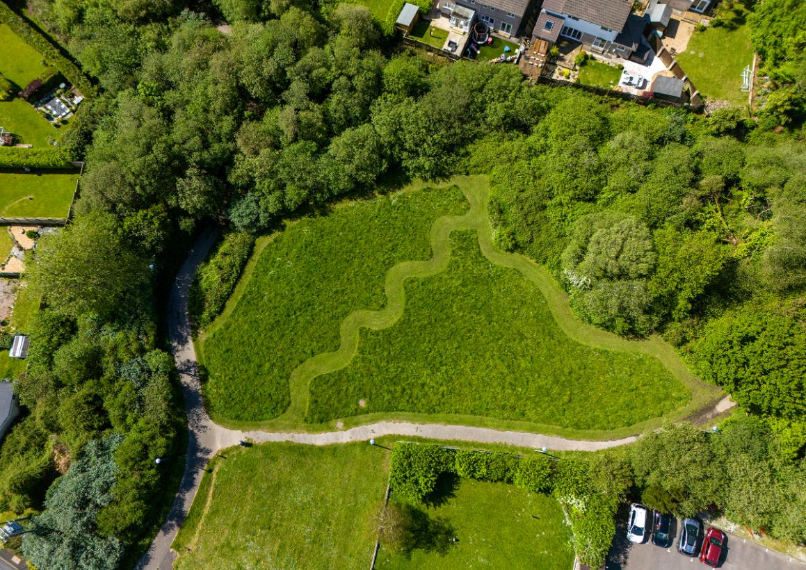A drone photo of a path mown through a wildflower area in Polmarth Close, north of Linear Park, 2025