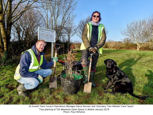 The Meadows Tree Planting