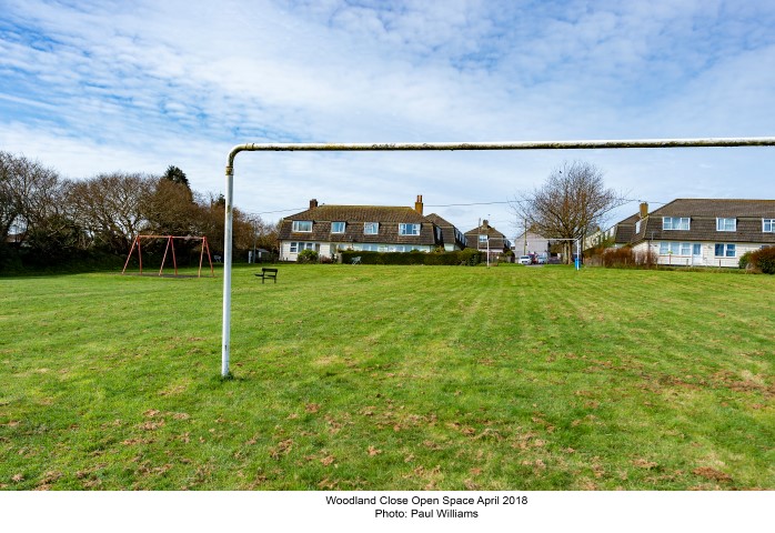 woodland close open space 2018