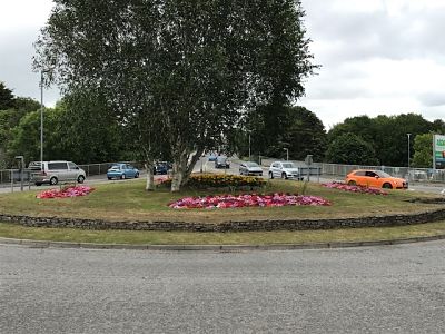 asda roundabout tree and flowers in bloom