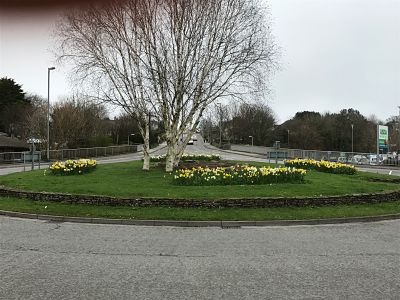 asda roundabout bare tree